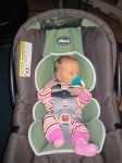 5 lbs, 15 oz, 20" 5 lbs, 15 oz, 20"