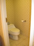 Angry Toilet