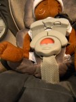 Portion of insert cushion goes between baby and crotch strap