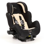True Fit SI C680 - Naturalization 2