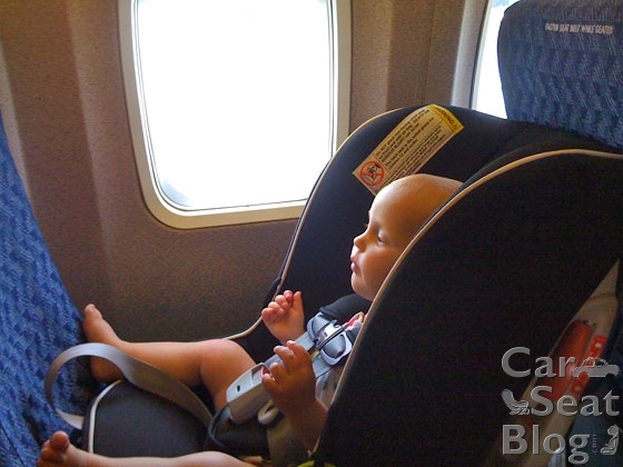 Travel Cats The Ultimate Guide To, Can You Take A Convertible Car Seat On The Plane