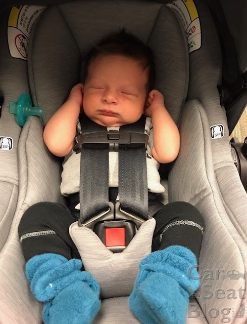2019 nuna pipa infant car seat