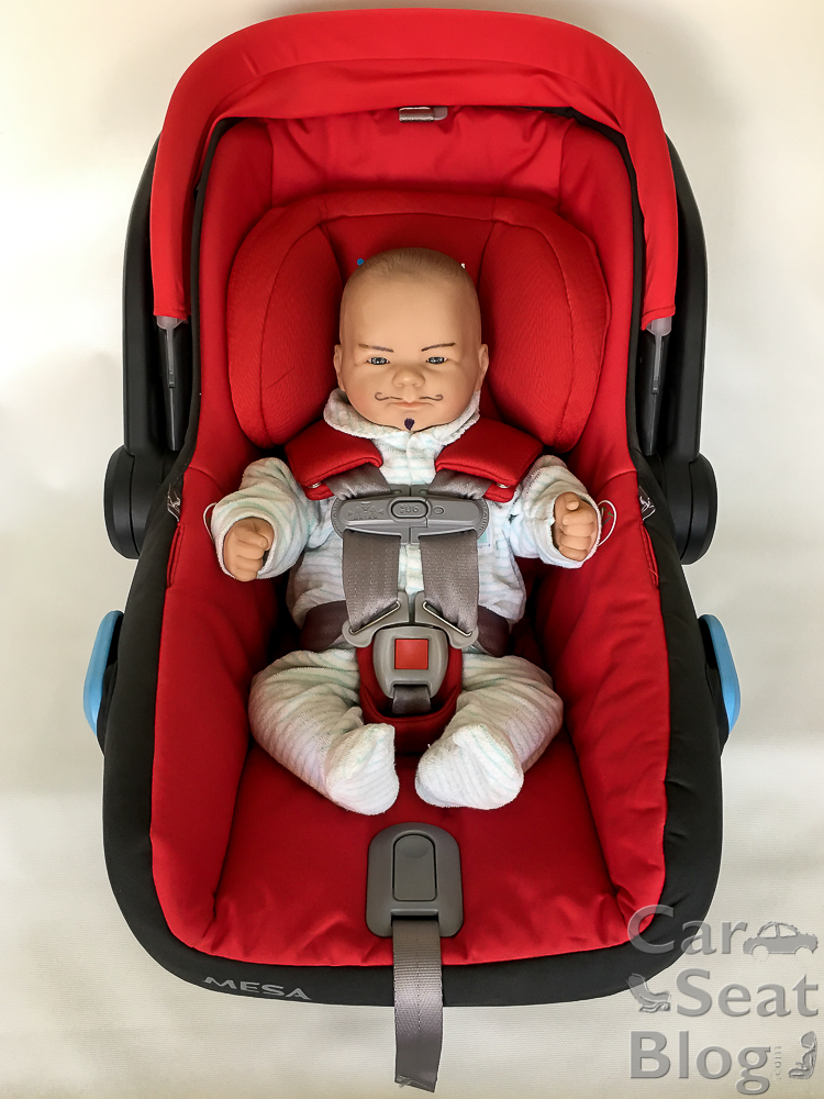 Harness And Belt Fit When Not To Worry Catblog - Where Should Car Seat Straps Be On Infant