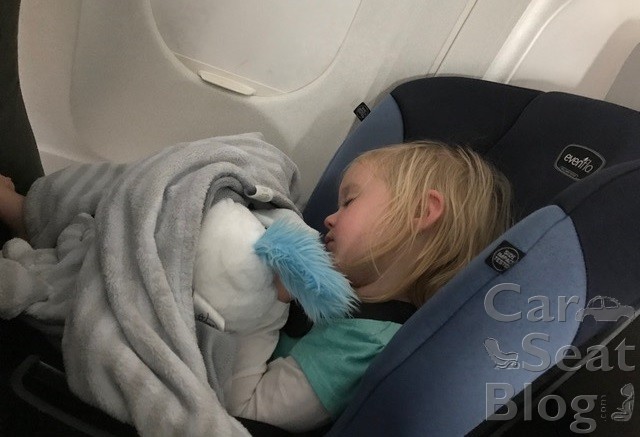 2021 Recommended Cats For Airplane Travel Catblog - Can You Take Child Seats On A Plane